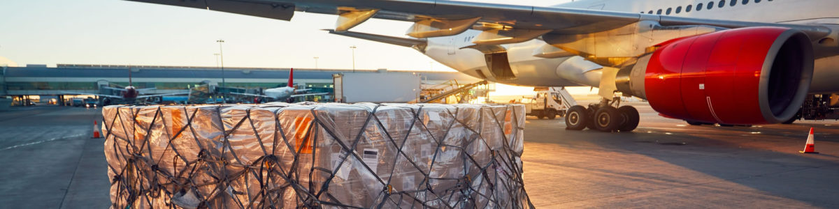 Loading domestic air cargo on plane